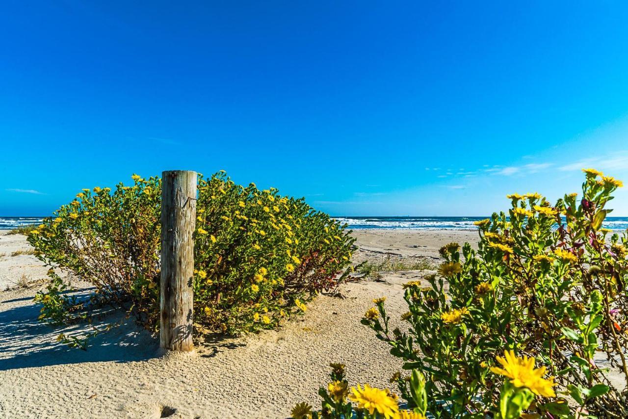 Blue Skies Ahead Quick Walk Into Town And Beach Galveston Exteriér fotografie